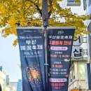 연제구-122 | 2025 부산 불꽃 축제 광안리 해수욕장 금련산 관람 후기