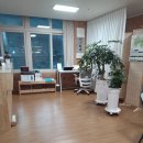 지리산계곡호텔 | 자연 힐링 제대로! 지리산 계곡 바로 앞 [지리산나무처럼 펜션] 후기