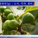 심볼리즘 이미지