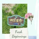 송가인공원 네이버블로그