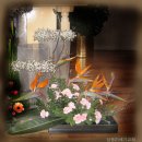 상동21세기교회 이미지