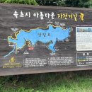 니어앤디어브런치카페 이미지