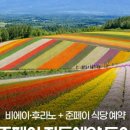 흰그림자투어 주식회사 네이버블로그