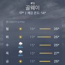 이든컨설턴트 | [👼#2_39주] 26년 7월 (막달 자분vs제왕 고민)