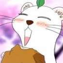 묘한 세계 이미지