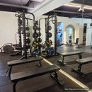 머슬바디짐 이미지