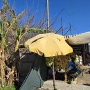 무지지천 이미지