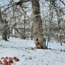 계전농장 이미지