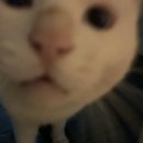 가평쏠스테이스파펜션 이미지