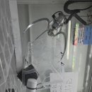 뽑기뽑기방 이미지