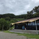 도심다원 | [하동 카페] 비가 내려 더욱 고즈넉했던 녹차밭에서 / 하동 도심다원 정자 후기