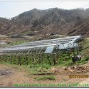 회남면 법수리마을 이미지