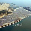 포니 태양광발전소 머니투데이