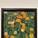 평화로운세상 이미지