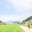 금산-41 | 남해 바래길 구운몽길 노도 김만중 남파랑길 41코스