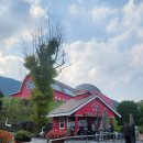 증평가족센터 | 증평투어패스로 벨포레 하루코스! 목장,미디어아트센터,사계절썰매장,놀이동산 이용후기