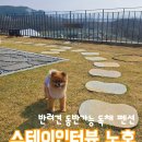 세종 스테이인터뷰 노호, 반려견 동반 독채 펜션 숙박 후기(내돈내산)