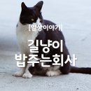 길냥이와 함께하는 이미지