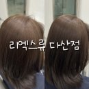 리엑스류 다산점