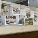 달브로 상인점 이미지