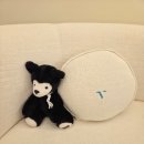 봄바람한의원 | 강남 두피 관리 WT메소드 클래시 압구정점 플라즈마 받고온 후기