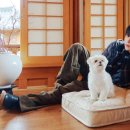 키스PC(인-233) 이미지