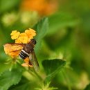 쌍용지하도1 이미지