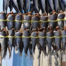 청어람로 이미지