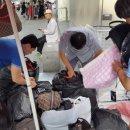 강남-254 이미지