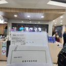 민들레여행사