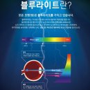 편안할안경 이미지