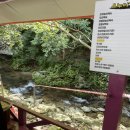 춘천정신건강의학과의원 이미지