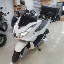 빈스 모터스 이미지