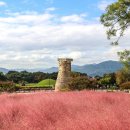 월성자동차정비 | [경주] 또 입사하기 전 급하게 가는 뚜벅이 2박 3일 여행 코스 - 첫째날 (feat. 유시민을 사랑해서...