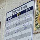 황금붕어와분식