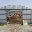 송죽농장 이미지