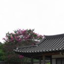 세기인쇄출판 | 〔논산시〕 돈암서원(遯巖書院)(1) - 세계유산 한국의 서원