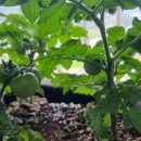 조은에스앤티 이미지