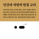 더 노마(The Noma) 이미지