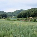 진부농장 이미지