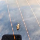 부주산국제클라이밍센터 이미지