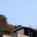 창은사슴동물약품 | 반려동물 보호소 맞춤형 위생 청소, 당진시 현장 시공 후기