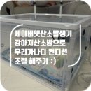 강삼지 강아지 미용실 | 세이버펫산소발생기 강아지산소방으로 우리강아지 컨디션 도움주기:)