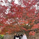 스테이반시 이미지