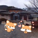 팔공산약초탕 | 대구 팔공산약초탕 목욕탕 사우나 정보 가족탕