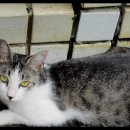 부뚜막이야기 이미지