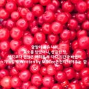 평택미에로 네이버블로그