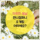더봄컴퍼니
