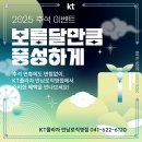 KT 플라자 횡단보도 이미지