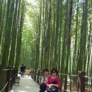 gs25 울산태화강 이미지